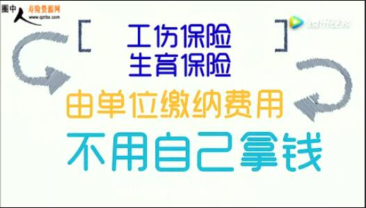 ��Ƶǿ����籣