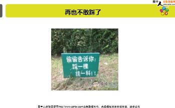 ÿ�տ���һ�̱��չ�˾2018��11��3�������