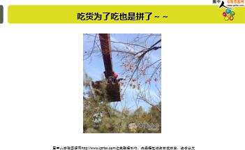 ÿ�տ���һ�̱��չ�˾2018��11��10�������