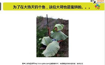 ÿ�տ���һ�̱��չ�˾2018��12��11�������