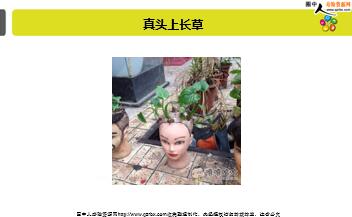 ÿ�տ���һ�̱��չ�˾2018��12��15�������