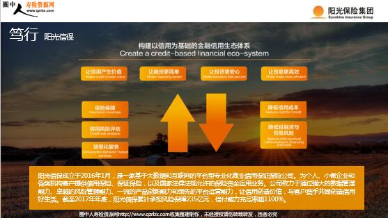 阳光保险企业介绍2018版(33页).ppt