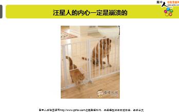 ÿ�տ���һ�̱��չ�˾2018��4��12�������