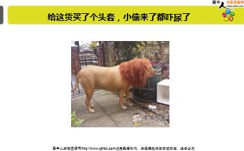 ÿ�տ���һ�̱��չ�˾2018��4��2�������