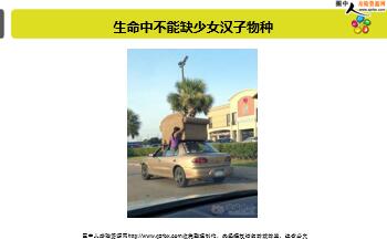 ÿ�տ���һ�̱��չ�˾2018��5��3�������