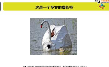 ÿ�տ���һ�̱��չ�˾2018��5��25�������