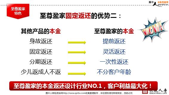 ������������ӯ�Ҳ�Ʒ������ɫ������