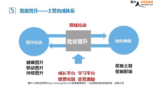 保险公司如何发展团队 保险公司团队建设怎么做