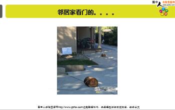 ÿ�տ���һ�̱��չ�˾2018��7��24�������