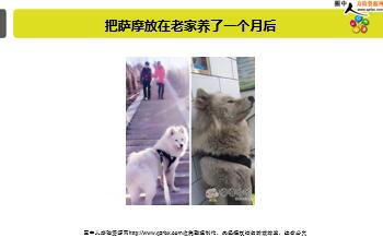 ÿ�տ���һ�̱��չ�˾2018��8��17�������