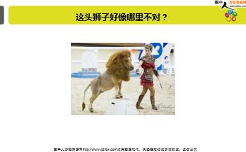 ÿ�տ���һ�̱��չ�˾2019��10��15�������