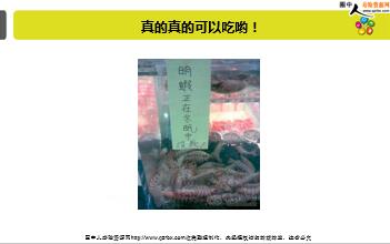 ÿ�տ���һ�̱��չ�˾2019��1��3�������