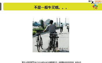 ÿ�տ���һ�̱��չ�˾2019��1��31�������