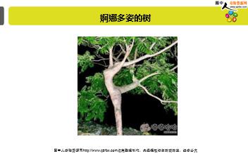 ÿ�տ���һ�̱��չ�˾2019��6��20�������