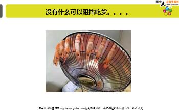 ÿ�տ���һ�̱��չ�˾2019��6��26�������