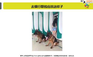 ÿ�տ���һ�̱��չ�˾2019��6��6�������