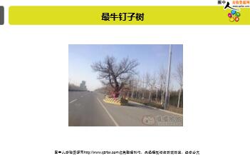 ÿ�տ���һ�̱��չ�˾2019��7��8�������