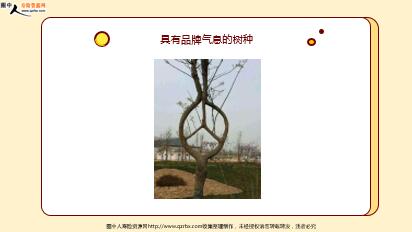 ÿ�տ���һ�̱��չ�˾2020��6��15�������