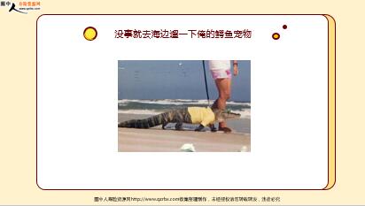 ÿ�տ���һ�̱��չ�˾2020��8��20�������