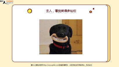 ÿ�տ���һ�̱��չ�˾2021��10��25�������