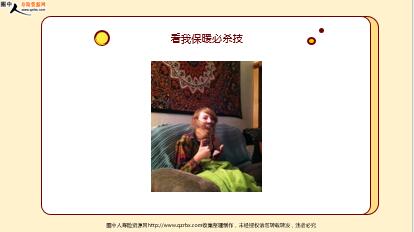 ÿ�տ���һ�̱��չ�˾2021��11��10�������