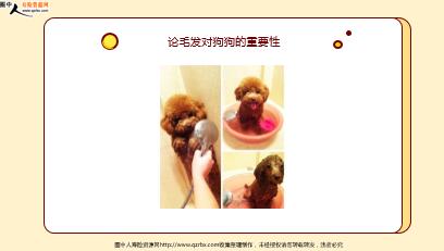 ÿ�տ���һ�̱��չ�˾2021��2��24�������