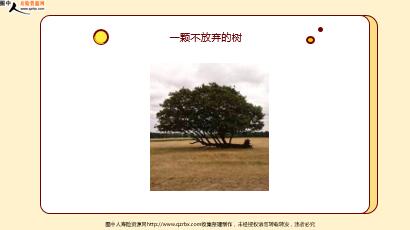 ÿ�տ���һ�̱��չ�˾2021��5��28�������