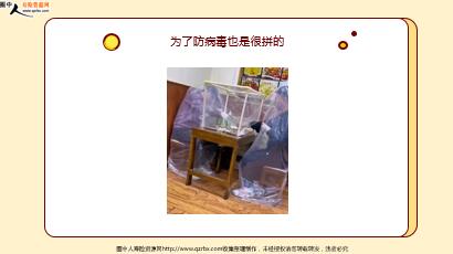 ÿտһ̱չ˾20221217