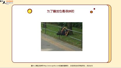 ÿ�տ���һ�̱��չ�˾2022��2��25�������