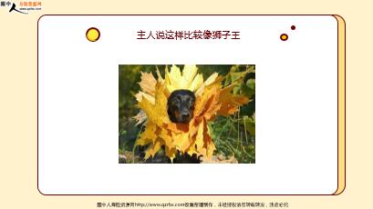 ÿ�տ���һ�̱��չ�˾2022��3��23�������