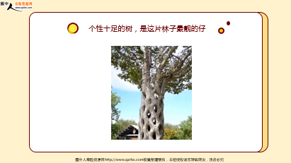 ÿտһ̱չ˾20251112