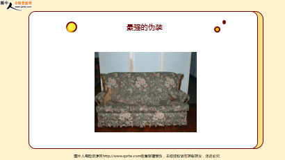 ÿտһ̱չ˾20251121