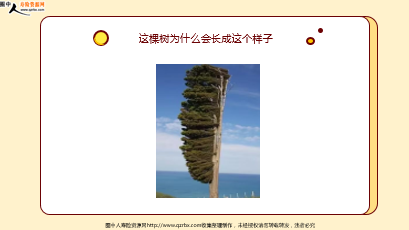 ÿտһ̱չ˾2025425