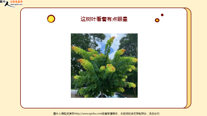 ÿ�տ���һ�̱��չ�˾2026��1��21�������