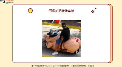 ÿ�տ���һ�̱��չ�˾2026��2��11�������