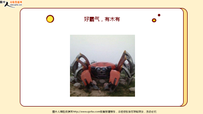 ÿ�տ���һ�̱��չ�˾2026��3��17�������