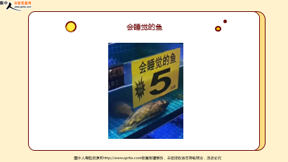 ÿ�տ���һ�̱��չ�˾2026��3��6�������