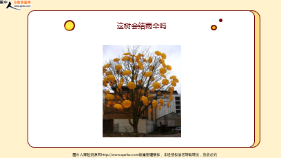 ÿ�տ���һ�̱��չ�˾2026��3��7�������