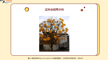 ÿ�տ���һ�̱��չ�˾2026��4��20�������