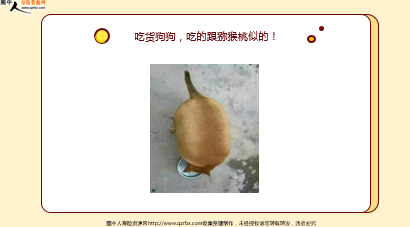 ÿ�տ���һ�̱��չ�˾2026��4��23�������