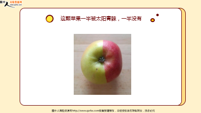 ÿ�տ���һ�̱��չ�˾2026��4��24�������