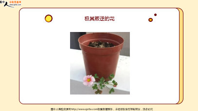 ÿ�տ���һ�̱��չ�˾2026��4��29�������