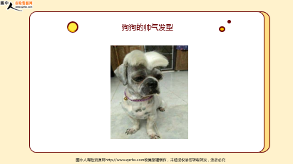 ÿ�տ���һ�̱��չ�˾2026��4��9�������