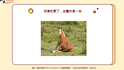 ÿ�տ���һ�̱��չ�˾2026��4��10�������